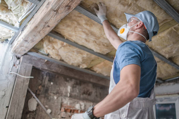 Best Eco-Friendly Insulation in Towanda, KS
